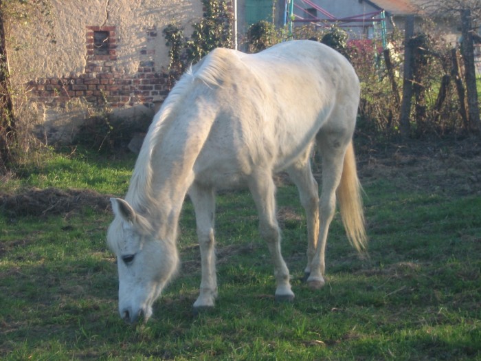 Photo de profil de atchouka