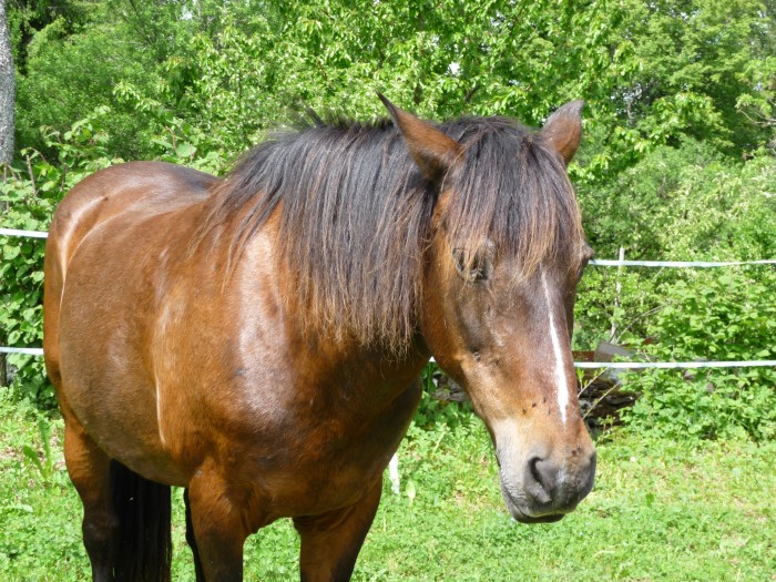 Photo de profil de calinecook