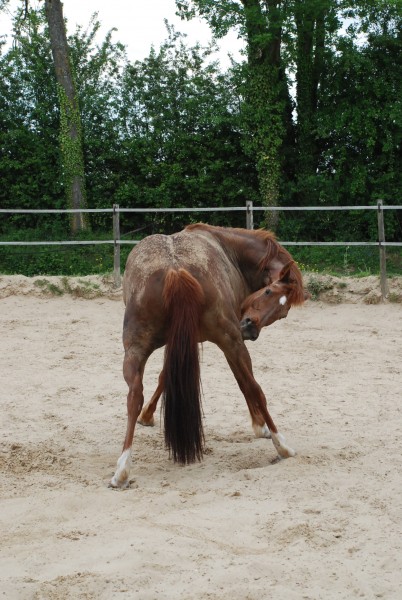 Photo de profil de dotka