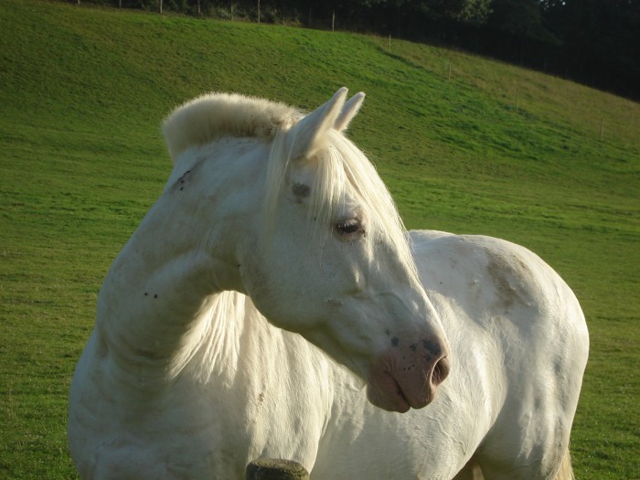 Photo de profil de kenzto