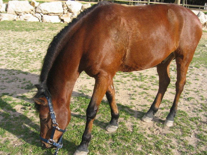 Photo de profil de pgb13