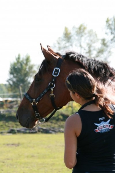 Photo de profil de sab33