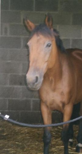 Photo de profil de b0llia