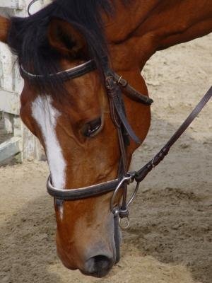 Photo de profil de juu78200