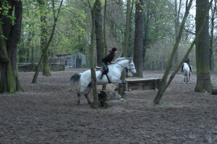 Photo de profil de soolene