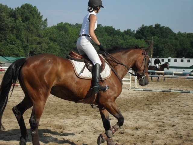 Photo de profil de delaur81