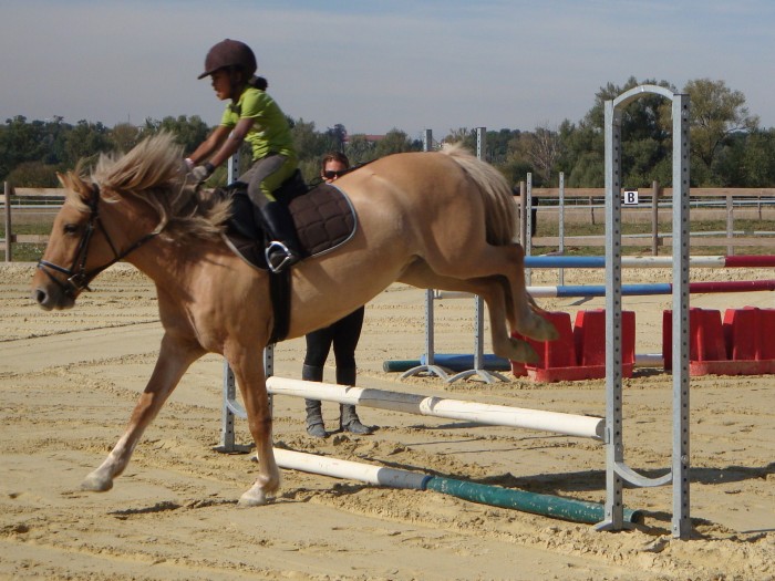 Photo de profil de georgespoujouly