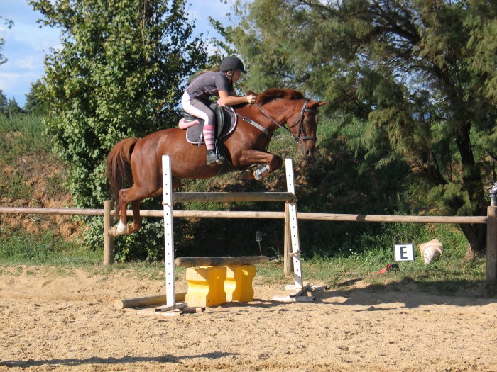 Photo de profil de fanny84420