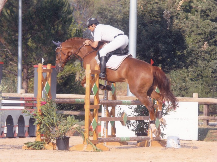 Photo de profil de magnum14