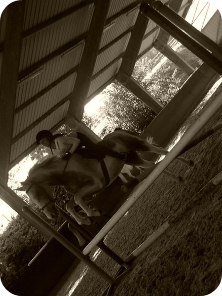 Photo de profil de chachou28