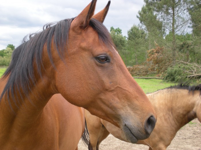 Photo de profil de malika9