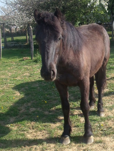 Photo de profil de jorkaline