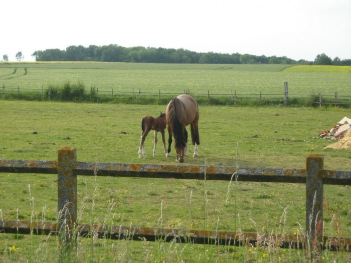 Photo de profil de ledelvysse