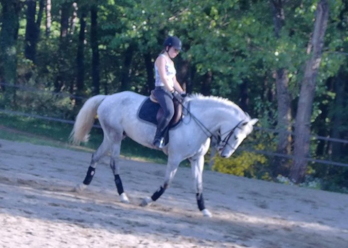 Photo de profil de popow