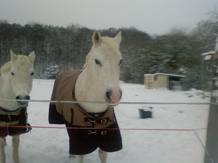 Photo de profil de wilou