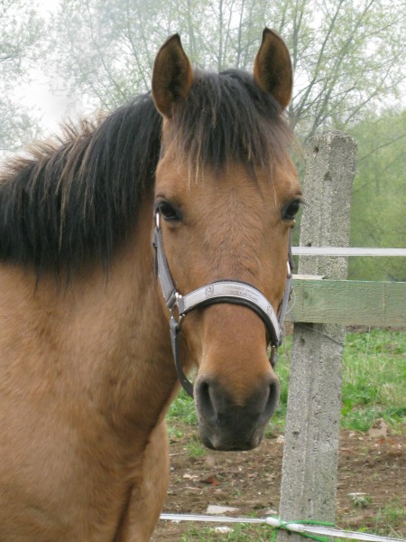 Photo de profil de fermedessaules