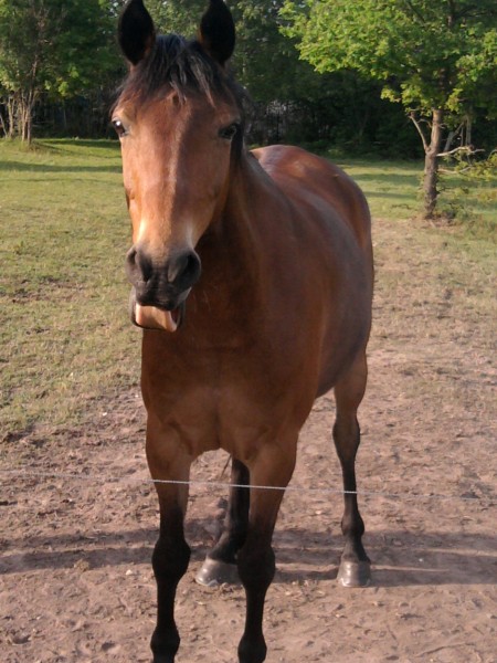 Photo de profil de cloenova