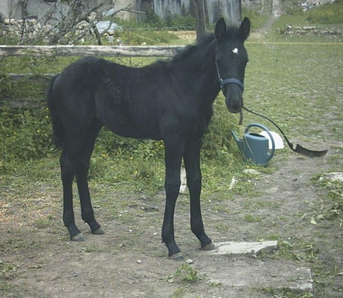 Photo de profil de justice