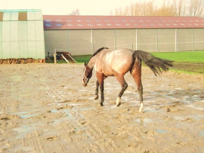 Photo de profil de nanaiiiseuh