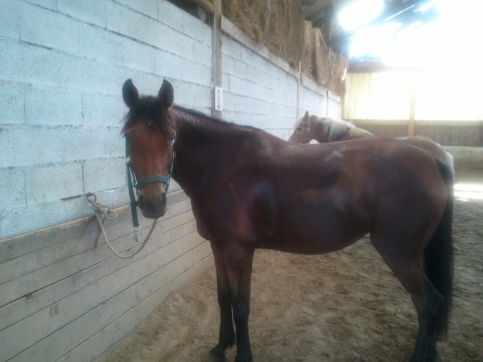Photo de profil de rougette