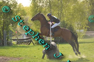 Photo de profil de aliceorunium