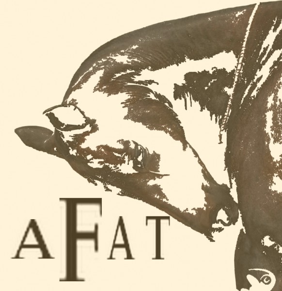 Photo de profil de afat