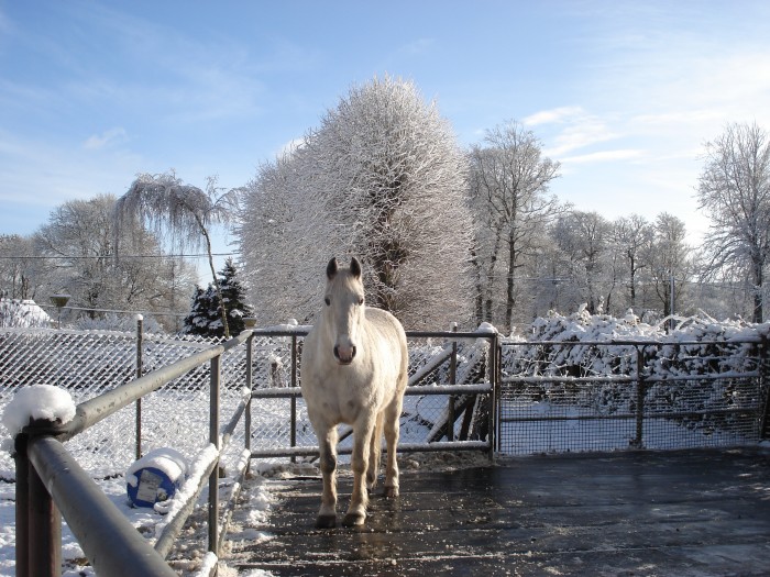 Photo de profil de nitreb