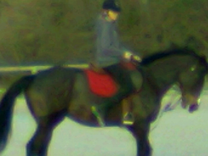 Photo de profil de majutis