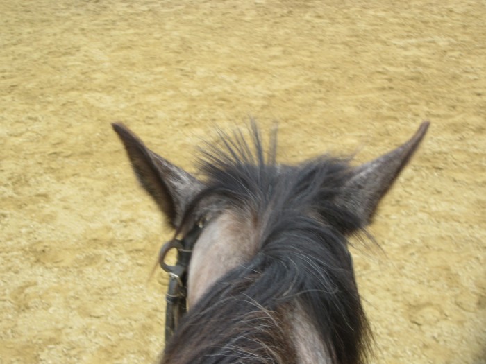 Photo de profil de tellenvy