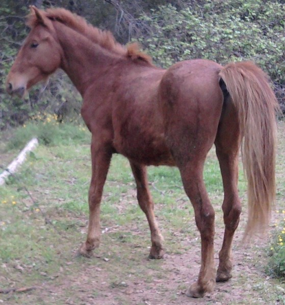 Photo de profil de arkan