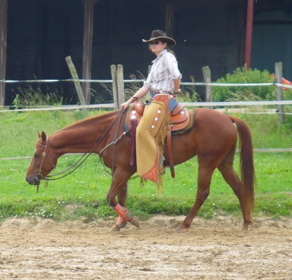 Photo de profil de quya