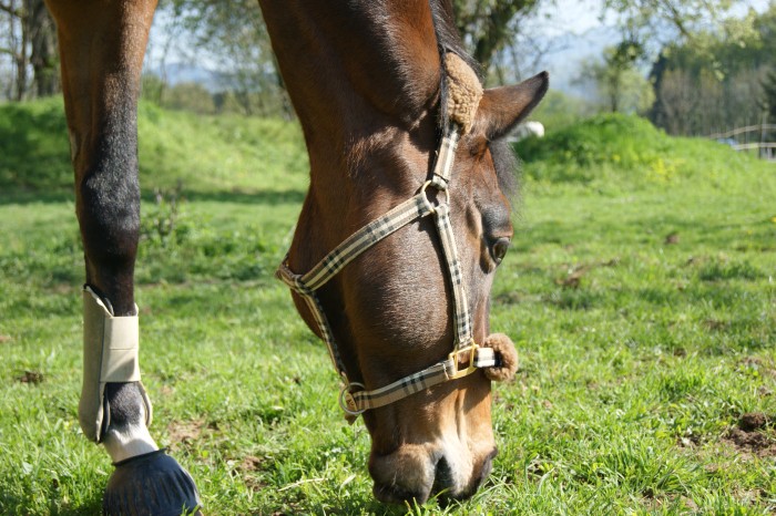 Photo de profil de johanna74