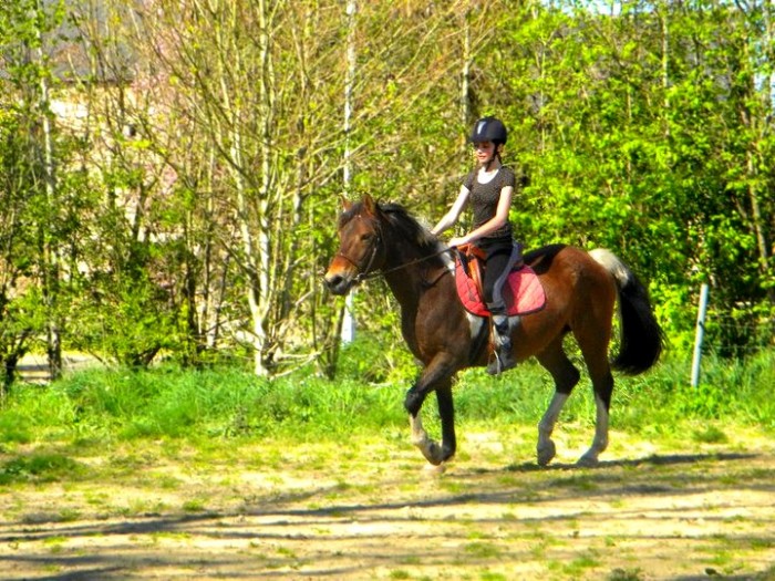 Photo de profil de mllexanaelle