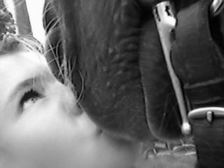 Photo de profil de skayla88