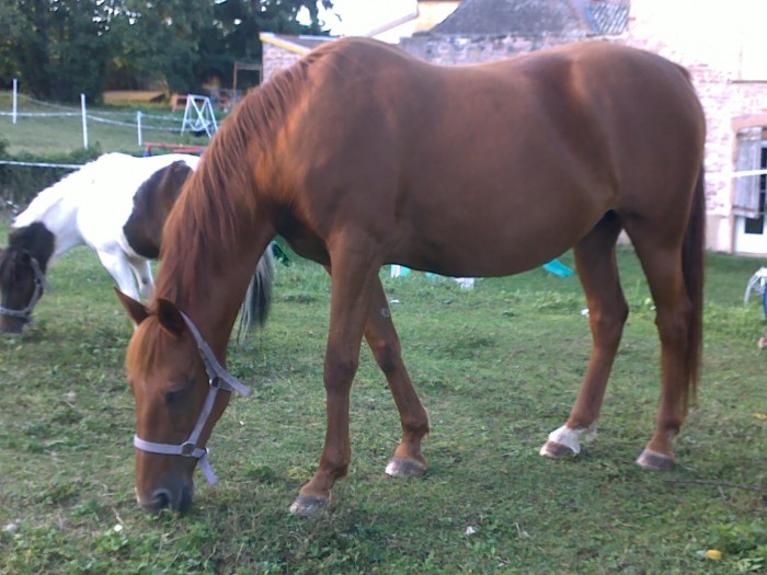 Photo de profil de chloeedo71