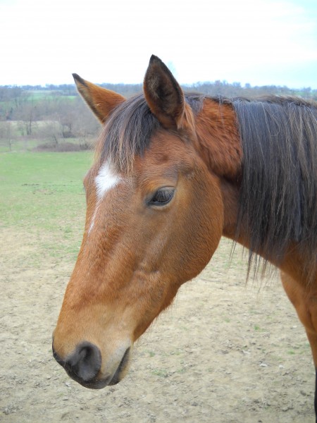 Photo de profil de kikou31