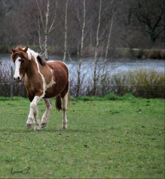 Photo de profil de doudoune56