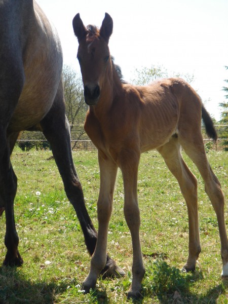 Photo de profil de baco