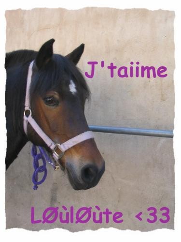 Photo de profil de tas.noisette