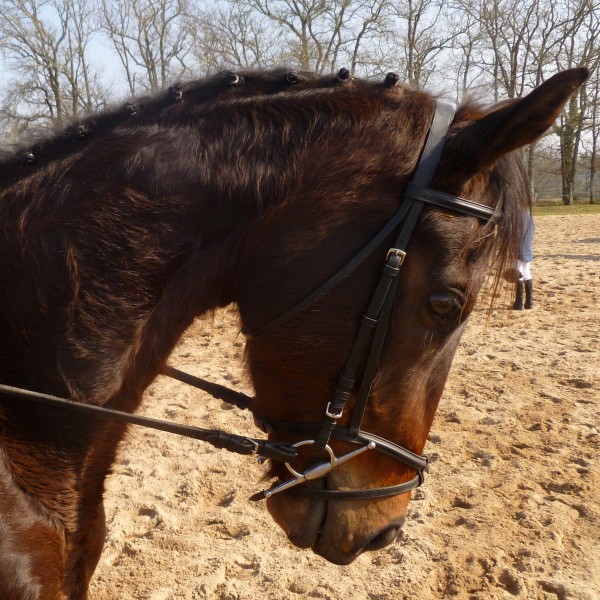 Photo de profil de marie40310