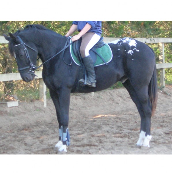 Photo de profil de watercolor