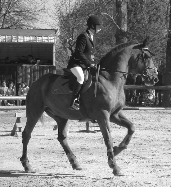 Photo de profil de easy26