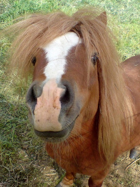 Photo de profil de zazalie18