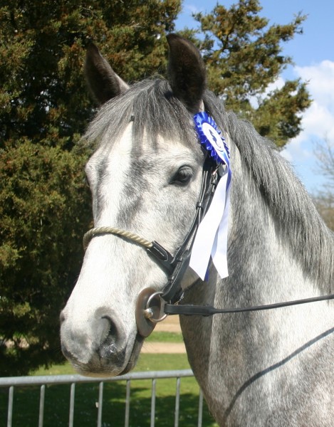 Photo de profil de rubisdepierre