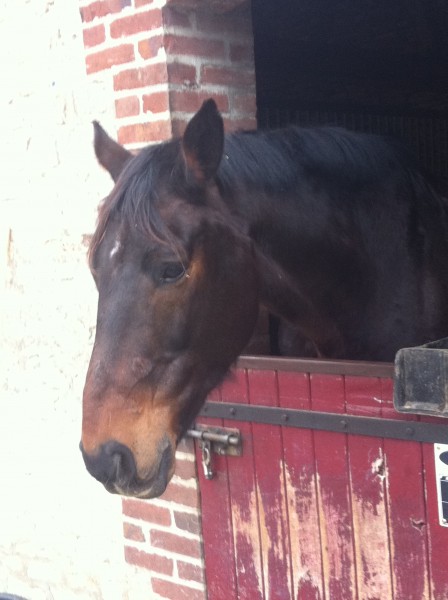 Photo de profil de idefixdumoutier