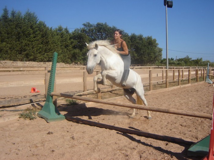 Photo de profil de fourcoil