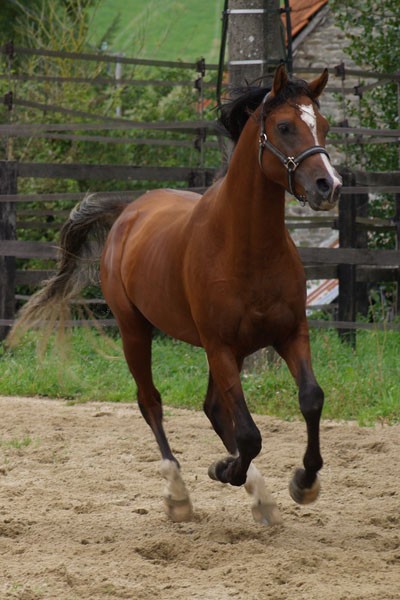 Photo de profil de stlzia