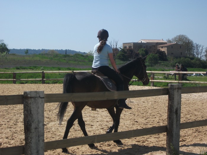 Photo de profil de marionh
