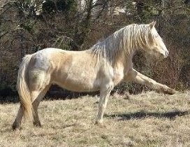 Photo de profil de cael3310