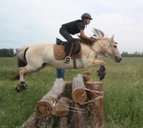Photo de profil de alysse